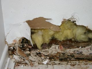Water-Damaged Drywall | Palos Verdes Estates Water-Damaged Drywall | Palos Verdes Estates CA