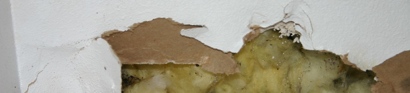 How to Repair Water-Damaged Drywall in Palos Verdes Estates